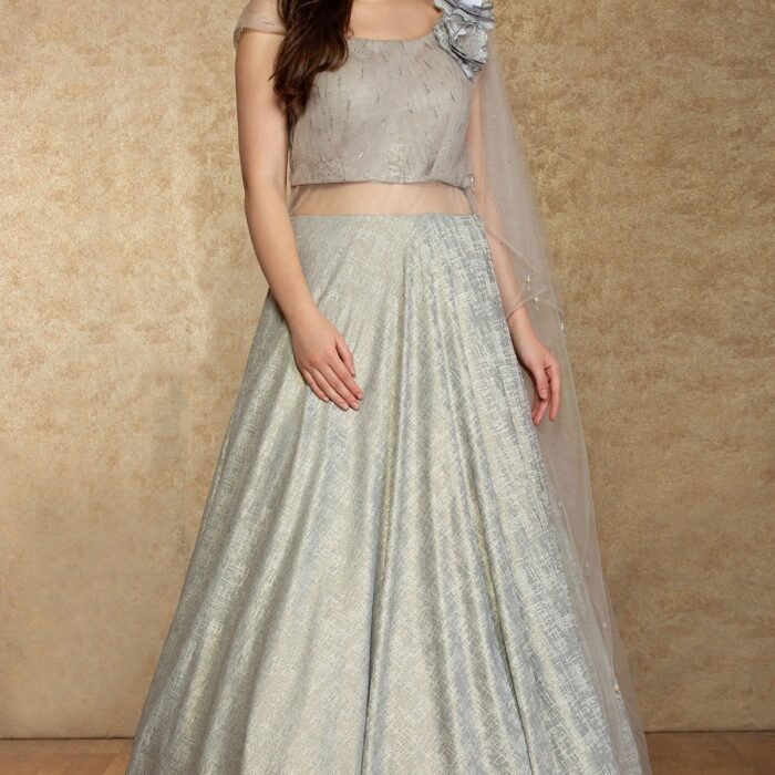 Light Grey Applique Embroidered Silk Evening Gown