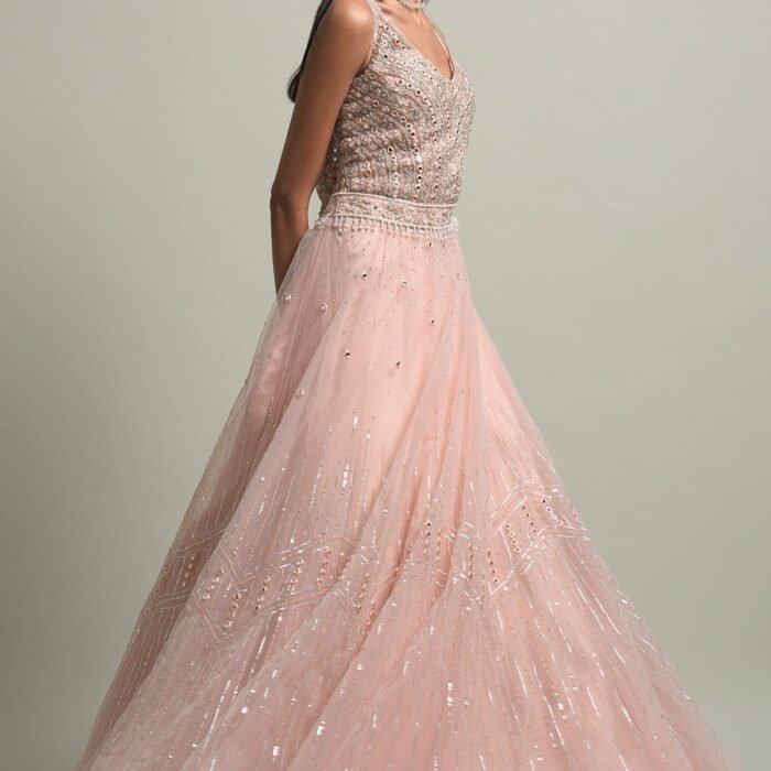 Light Peach Stone Embroidered Net Evening Gown